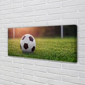 Tablouri canvas gateway-ul de fotbal cu gazon