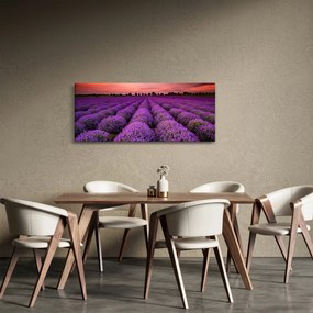 Tablou - Câmp de lavandă (120x50 cm)