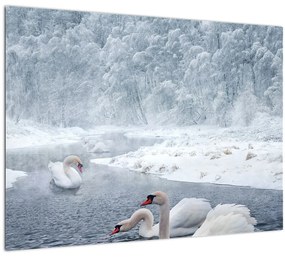 Tablou cu lebăde (70x50 cm)