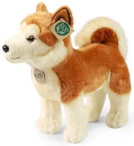 Rappa Câine de pluș Akita Inu 30 cm
