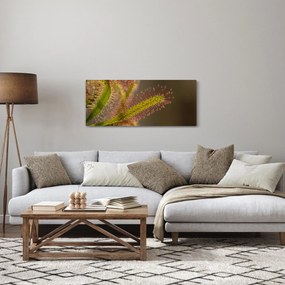Tablou cu plantă (120x50 cm)