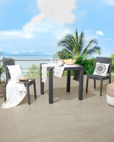 Set scaune 2 buc. Fossil (grafit). 1011527