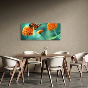Tablou cu fluture (120x50 cm)