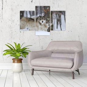 Tablou - Lupii în timpul iernii (90x60 cm)