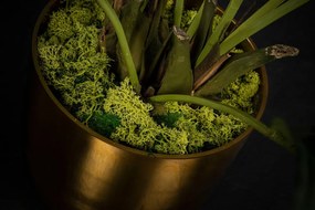 Aranjament floral mare decor festiv design LUX KENTIA PALM H-155cm