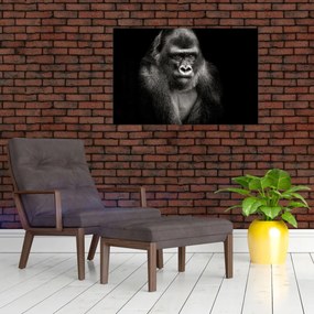 Tablou - Gorila (90x60 cm)