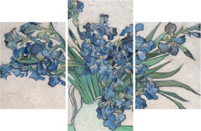 Tablou - Vincent van Gogh, Irises, reproducere (90x60 cm)