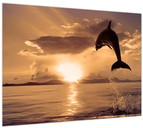 Tablou - Delfin la apus de soare (70x50 cm)
