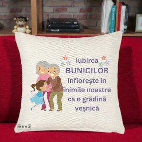 Cadou pentru Bunici - Perna Personalizata Bunicii Iubirea Infloreste Bunici cu Nepoata Colorat, 40x40 cm, Crem Reliefat, Husa Detasabila, Perna Inclusa, BEKZ®