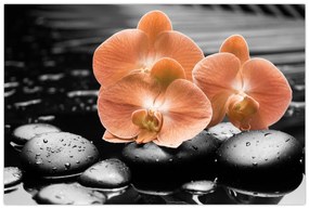 Tablou - Orhidee portocalii (90x60 cm)