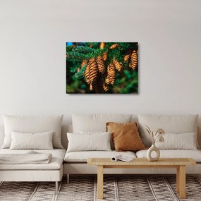 Tablou pe sticlă cu con de brad (70x50 cm)