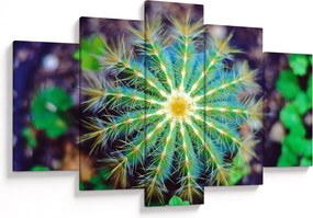 Tablou cu cactus (150x105 cm)