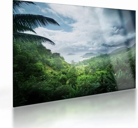 Tablou pe sticlă -Jungla din Seychelles (70x50 cm)