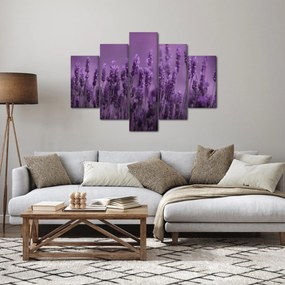 Tablou - Lavanda (150x105 cm)