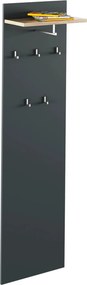 Cuier cu bara de umerase RIOMA NEW TYP 19, gri grafit/stejar artisan,