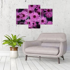 Tablou cu florile roz (90x60 cm)