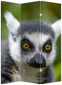 Paravan - Lemur (126x170 cm)