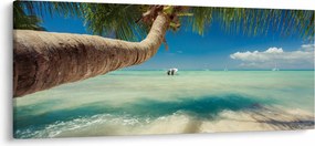 Tablou - Mare curată cu palmier (120x50 cm)