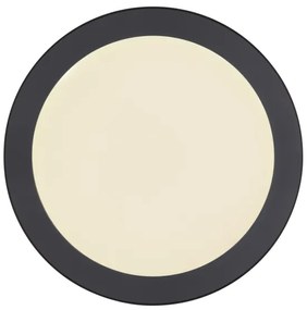 Plafonieră LED Globo 12379-24B LASSE LED/24W/230V