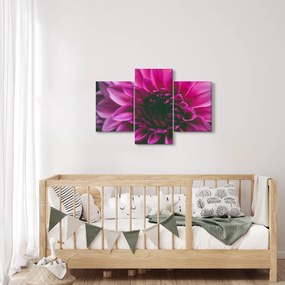 Tablou cu floarea roz (90x60 cm)