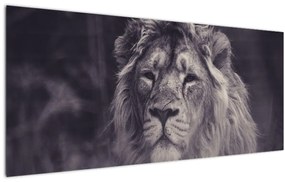 Tablou cu leu (120x50 cm)