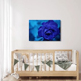 Tablou cu trandafir albastru (90x60 cm)