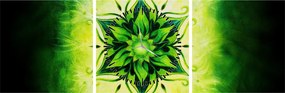 Tablou - Mandala de flori, fundal verde (cu ceas) (90x30 cm)