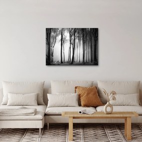 Tablou - Lup în pădurea întunecată (70x50 cm)