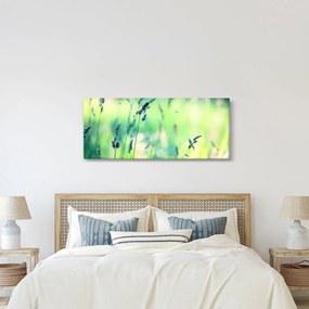 Tablou - Detaliu pajiște (120x50 cm)