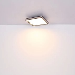 Globo 41596D2 - LED plafonieră dimabilă LED/24W/230V 2700-6500K+DO