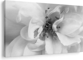 Tablou - Floare,alb-negru (90x60 cm)