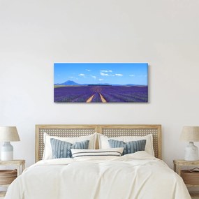 Tablou - Câmp de lavandă (120x50 cm)