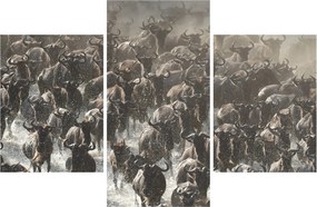 Tablou - Turmă de antilope sălbatice (90x60 cm)