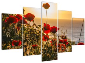 Tablou cu apus de soare cu flori de maci (150x105 cm)