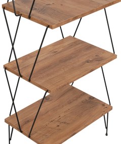 Biblioteca Balaban Pine
