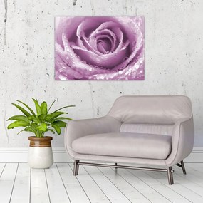 Tablou pe sticlă detaliu de floare de trandafir (70x50 cm)