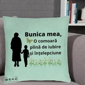 Cadou pentru Bunica - Perna Personalizata Bunica Mea Comoara cu Fluture si Baietel, 40x40 cm, Verde Menta, Husa Detasabila, Perna Inclusa, BEKZ®