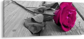 Tablou - Trandafir roz (120x50 cm)