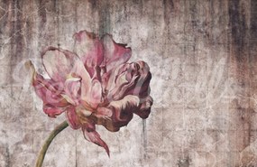 Tapet Vintage Tulip, Rebel Walls