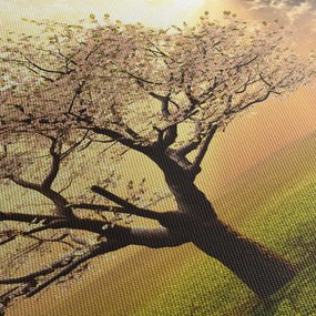 Tablou cu copac pe luncă (70x50 cm)