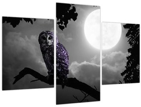Tablou - Bufniță de noapte, bufniță mov (90x60 cm)