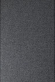 Șezlong de grădină Blomus Coal, 120 x 190 cm, gri închis