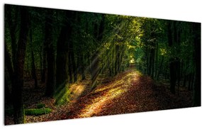 Tablou cu poteca prin pădure (120x50 cm)