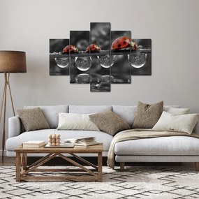 Tablou - Floarea-soarelui, alb și negru (150x105 cm)