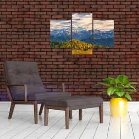 Tablou - panorama montană (90x60 cm)