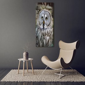 Imprimare tablou canvas Bufniţă