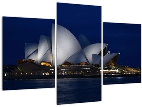 Tabloul Sydney nocturn (90x60 cm)