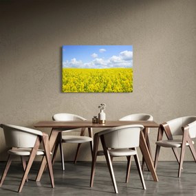 Tablou - Câmp galben (90x60 cm)