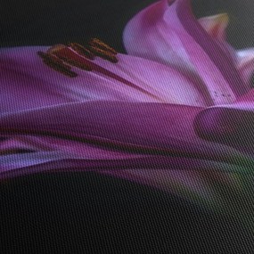 Tablou crinul (cu ceas) (90x30 cm)