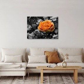 Tablou cu floare (70x50 cm)